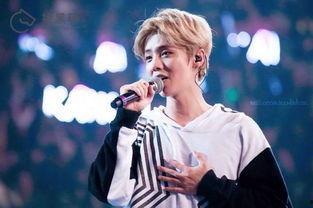 爆料鹿晗割粉丝韭菜视频,视频爆料引发热议